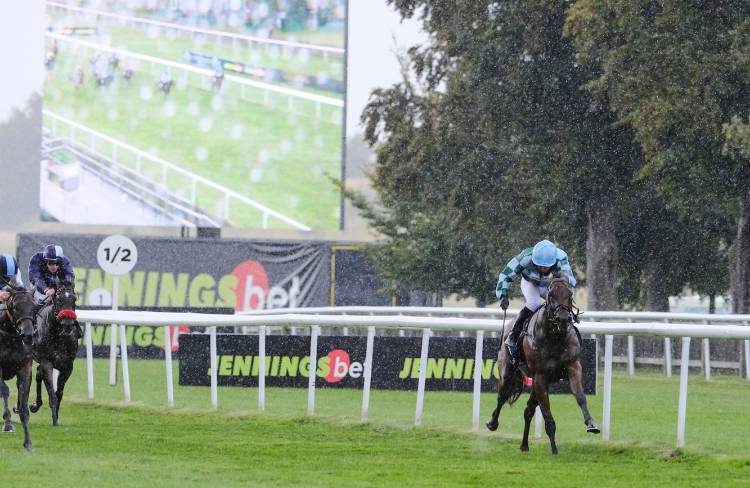 Â£100000-tatts-som-auction-stks.jpg