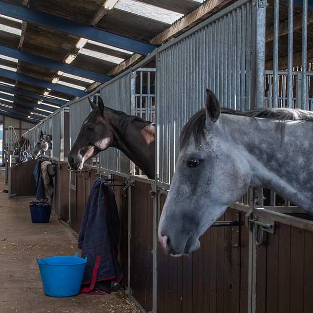 stables-640x640-1.jpg