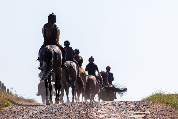 600x400-gallops.jpg