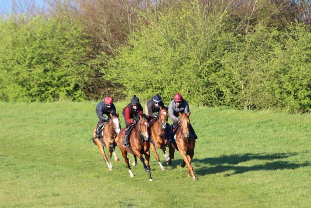 Grass-gallops-up-1024x686.jpg