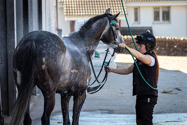 600x400-hosing-down.jpg