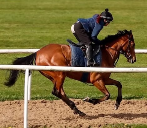 Nightspell (GB)