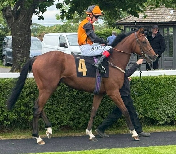 Brixworth Bandit (GB)