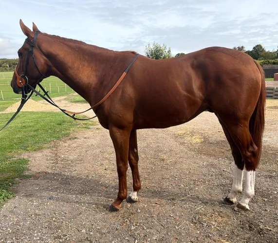 Arcadius (GER)