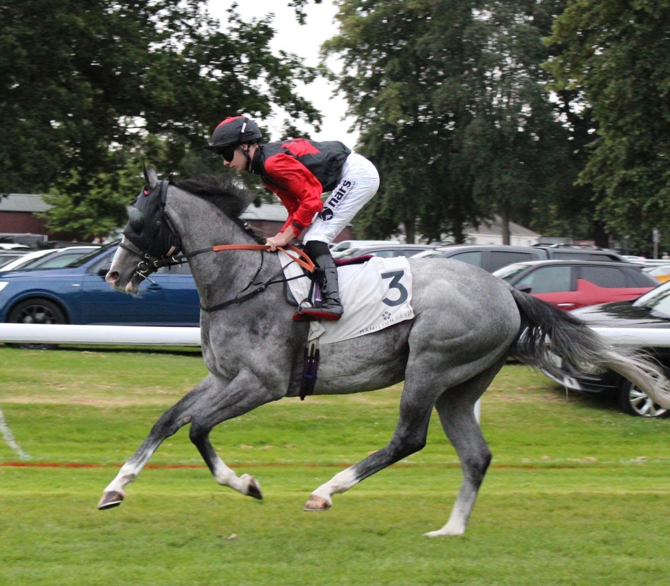 Ibn Altheeb (IRE)