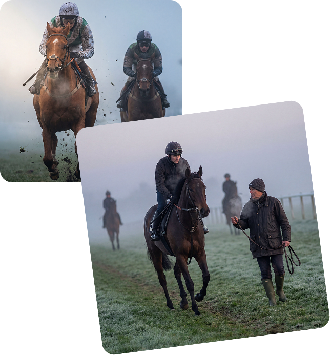 The new way to own a racehorse